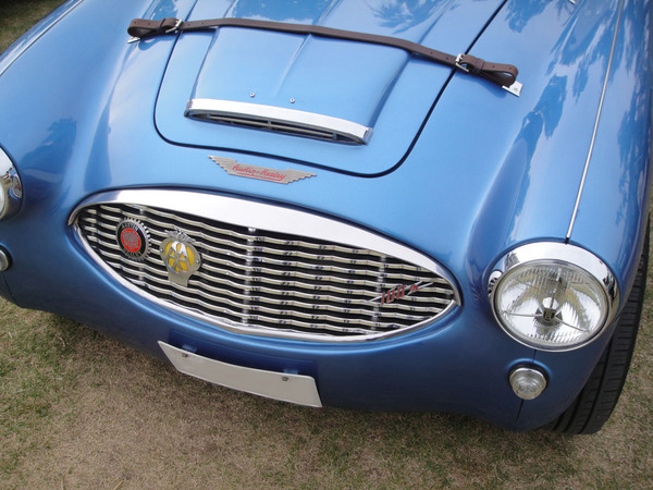 Healey_100-6.jpg