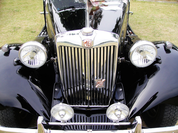 MG_TD.jpg