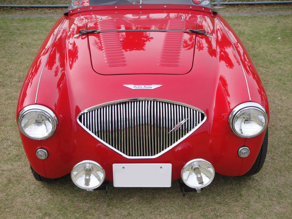 healey_100.jpg